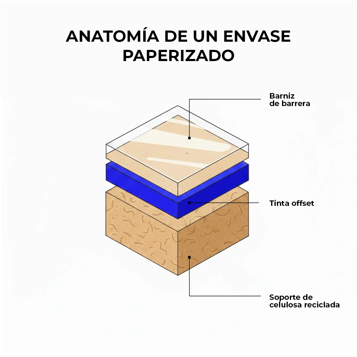 Infografía técnica titulada 'Anatomía de un envase paperizado' que muestra las capas de un soporte de celulosa reciclada, tinta offset y barniz de barrera para packaging sostenible.