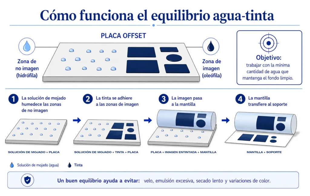 Infografía que explica cómo funciona el equilibrio agua-tinta en impresión offset: zonas hidrófilas y oleófilas de la placa y las cuatro fases de transferencia, de la solución de mojado a la mantilla y el soporte