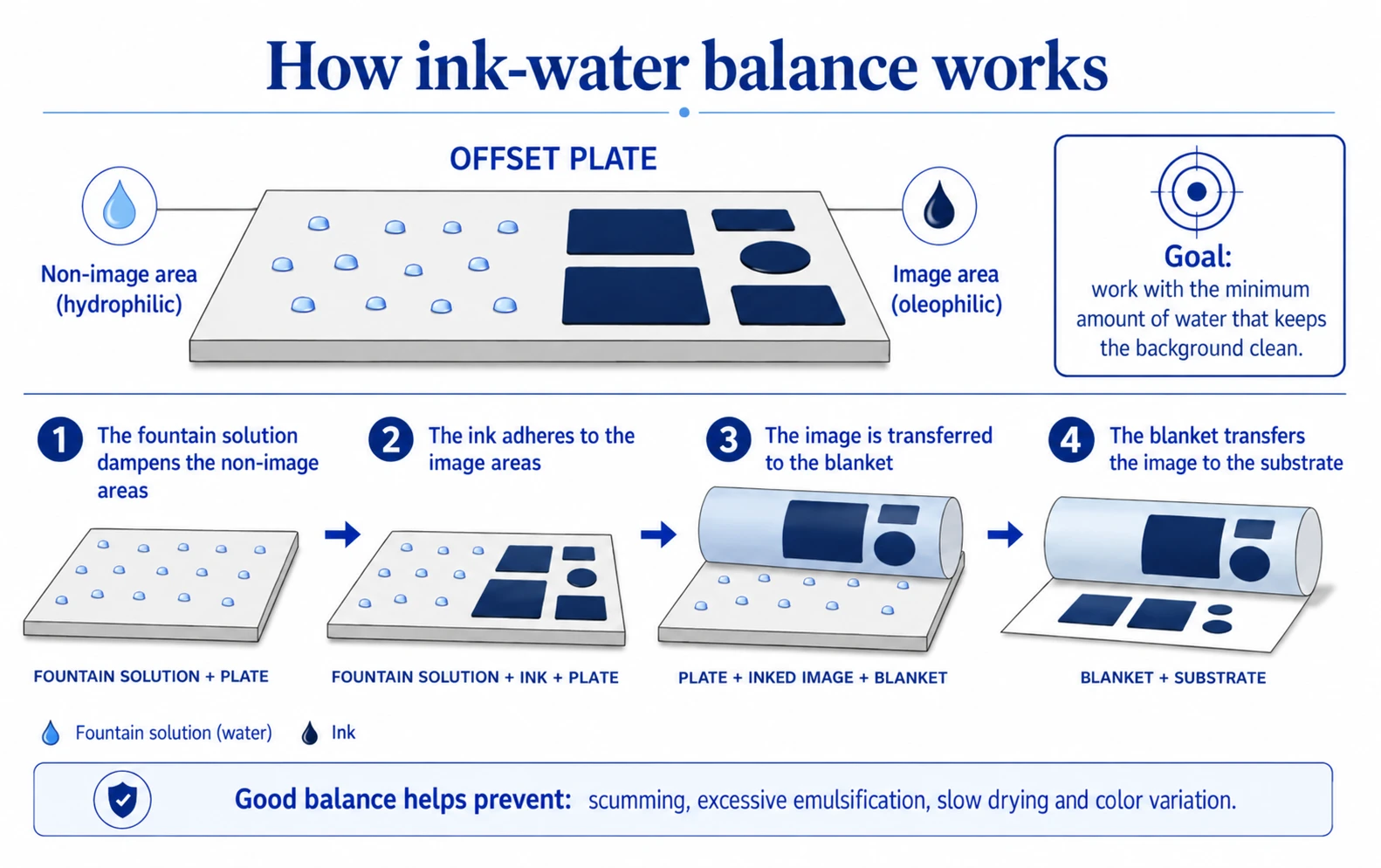 Infographic explaining how ink-water balance works in offset printing, from the fountain solution and plate to the blanket and substrate.